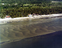 Praia dos Carneiros